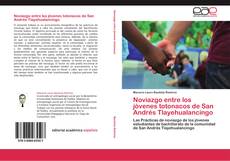 Bookcover of Noviazgo entre los jóvenes totonacos de San Andrés Tlayehualancingo