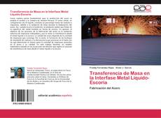 Transferencia de Masa en la Interfase Metal Líquido-Escoria kitap kapağı