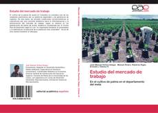 Bookcover of Estudio del mercado de trabajo