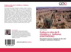 Buchcover von Cultivo in vitro de E. chiotilla y L. hollianus (CACTACEAE)