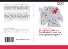 Flexibilidad Laboral y Sentido de Pertenencia kitap kapağı