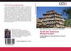 Buchcover von Perfil del Totonaca Meliponicultor
