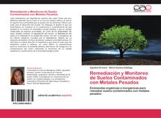 Capa do livro de Remediación y Monitoreo de Suelos Contaminados con Metales Pesados 