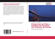 Portada del libro de Protección de Pilas y Estribos de Puentes con Paneles de Fondo