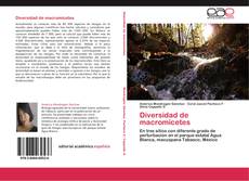 Buchcover von Diversidad de macromicetes