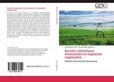 Acción colectiva e innovación en espacios regionales kitap kapağı