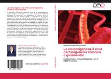 La ciclooxigenasa-2 en la carcinogénesis colónica experimental kitap kapağı