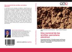 Bookcover of Uso racional de las arcillas: porcelana eléctrica