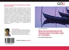 Bookcover of Nuevas perspectivas de manejo para el pulpo rojo en Yucatán.