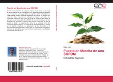 Bookcover of Puesta en Marcha de una SOFOM