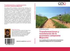 Couverture de Transformaciones y resistencias de la economía campesina Mapuche