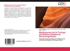 Buchcover von Madrigueras de la Tortuga del Bolsón (Gopherus flavomarginatus)