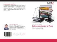Buchcover von Determinación de la Pena