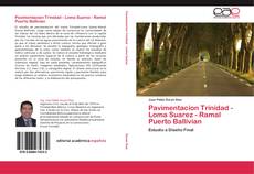 Buchcover von Pavimentacion Trinidad - Loma Suarez - Ramal Puerto Ballivian