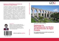 Capa do livro de Optimizar la Rehabilitación de Redes de Distribución de Agua Potable 