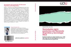 Обложка Sociedades agro-pastoriles del Noroeste Argentino y tecnología lítica