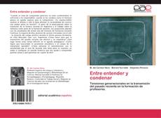 Bookcover of Entre entender y condenar