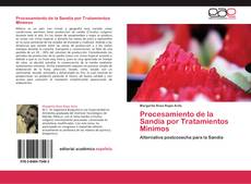 Bookcover of Procesamiento de la Sandía por Tratamientos Minimos