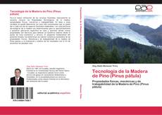 Tecnología de la Madera de Pino (Pinus pátula) kitap kapağı