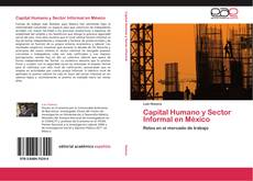 Capital Humano y Sector Informal en México kitap kapağı