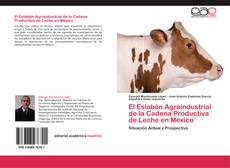Capa do livro de El Eslabón Agroindustrial de la Cadena Productiva de Leche en México 