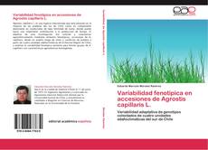 Обложка Variabilidad fenotípica en accesiones de Agrostis capillaris L.