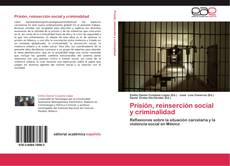 Capa do livro de Prisión, reinserción social y criminalidad 