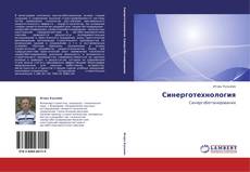 Синерготехнология kitap kapağı