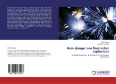 Capa do livro de How danger are firecracker explosions 