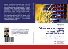 Bookcover of Гибридная жидкостная модель магистрального Интернет-канала