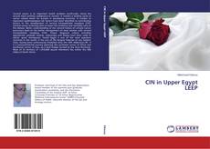 Copertina di CIN in Upper Egypt LEEP