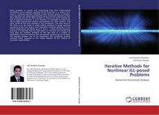 Bookcover of Iterative Methods for Nonlinear ILL-posed Problems