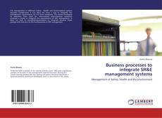 Capa do livro de Business processes to integrate SH&E management systems 