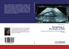 Bookcover of Navigating in the Ocean of Risk