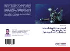 Couverture de Natural Gas Hydrates and Damage to the Hydrocarbon Production