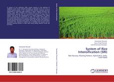 Bookcover of System of Rice Intensification (SRI)
