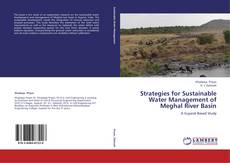 Strategies for Sustainable Water Management of Meghal River Basin kitap kapağı