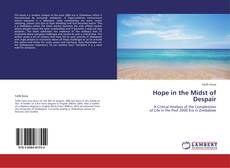 Hope in the Midst of Despair kitap kapağı