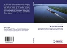 Paleochannels kitap kapağı