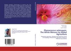 Capa do livro de Phenacoccus solenopsis: The White Menace to Global Agriculture 
