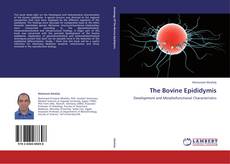 Bookcover of The Bovine Epididymis