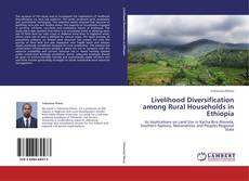 Buchcover von Livelihood Diversification among Rural Households in Ethiopia