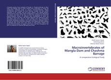 Buchcover von Macroinvertebrates of Mangla Dam and Chashma Barrage