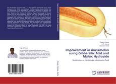 Copertina di Improvement in muskmelon using Gibberellic Acid and Maleic Hydrazide