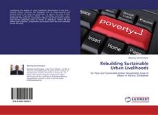 Rebuilding Sustainable Urban Livelihoods kitap kapağı