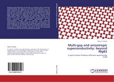 Capa do livro de Multi-gap and anisotropic superconductivity: beyond MgB2 