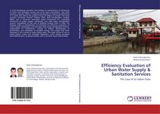 Capa do livro de Efficiency Evaluation of Urban Water Supply & Sanitation Services 