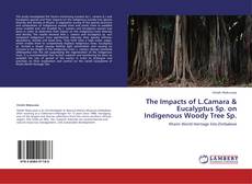 Capa do livro de The Impacts of L.Camara & Eucalyptus Sp. on Indigenous Woody Tree Sp. 
