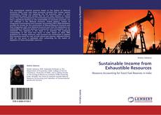 Sustainable Income from Exhaustible Resources kitap kapağı