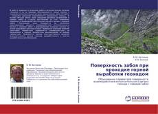 Bookcover of Поверхность забоя при проходке горной выработки геоходом